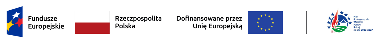 Logo Funduszy Europejskich, flaga RP, Flaga Unii Europejskiej, Logo PS WPR na lata 2023-2027